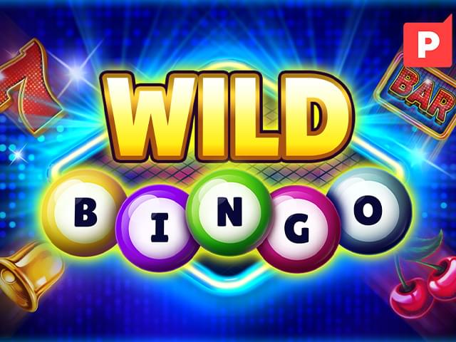 9595bet Bingo Selvagem